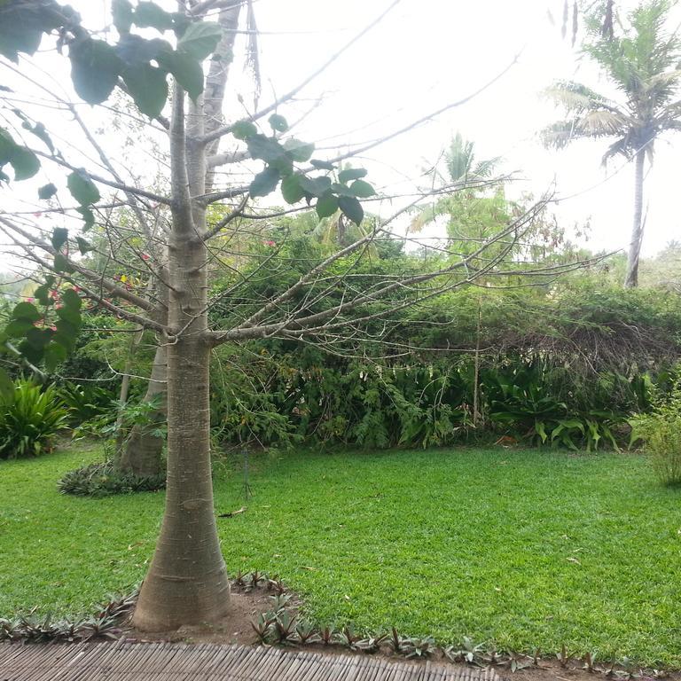 Palmeiras Lodge Vilankulo Buitenkant foto